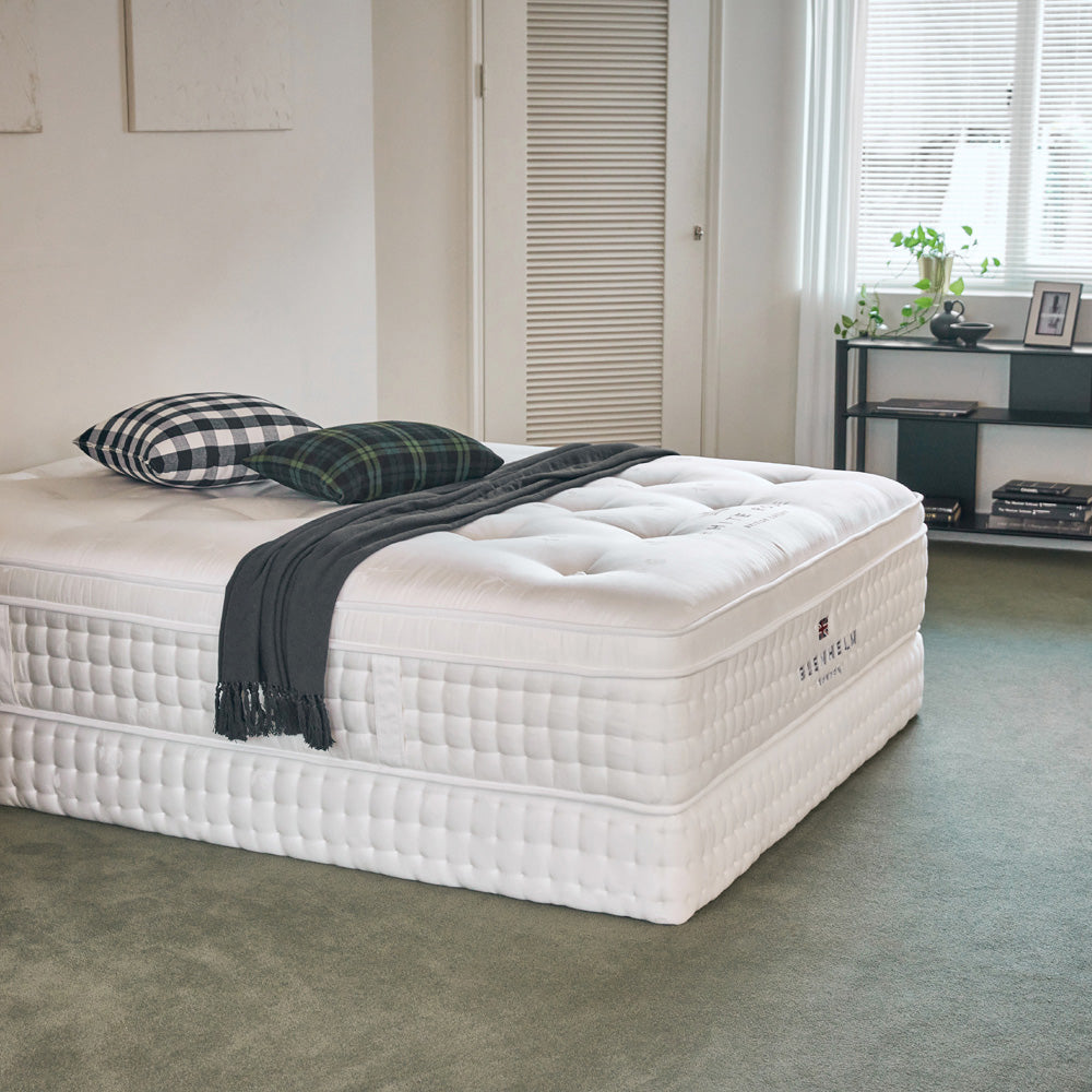 White rose 700