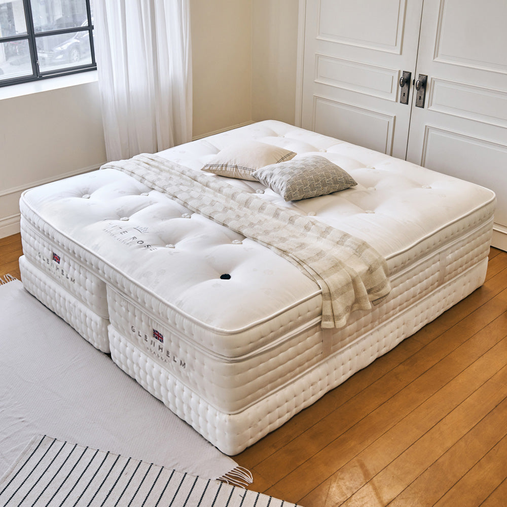 White rose 900